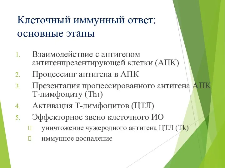 Клеточный иммунный ответ: основные этапы Взаимодействие с антигеном антигенпрезентирующей клетки (АПК) Процессинг