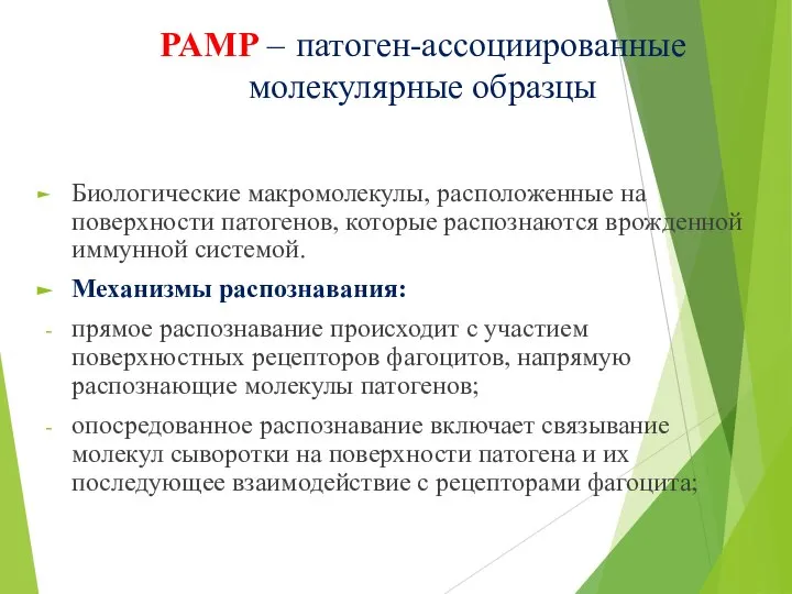 PAMP – патоген-ассоциированные молекулярные образцы Биологические макромолекулы, расположенные на поверхности патогенов, которые
