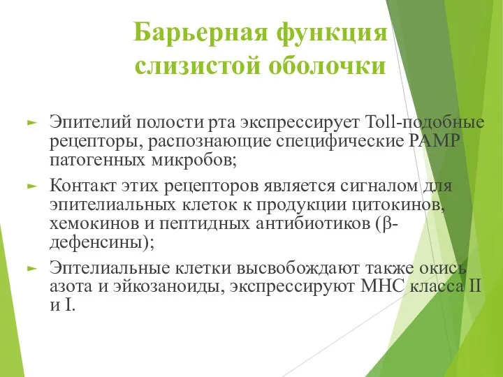 Барьерная функция слизистой оболочки Эпителий полости рта экспрессирует Toll-подобные рецепторы, распознающие специфические