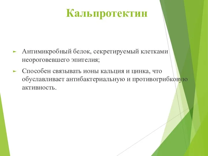 Кальпротектин Антимикробный белок, секретируемый клетками неороговевшего эпителия; Способен связывать ионы кальция и