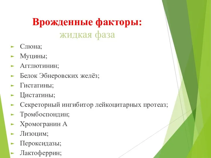 Врожденные факторы: жидкая фаза Слюна; Муцины; Агглютинин; Белок Эбнеровских желёз; Гистатины; Цистатины;