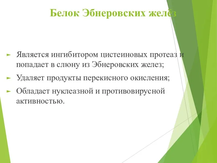 Белок Эбнеровских желёз Является ингибитором цистеиновых протеаз и попадает в слюну из