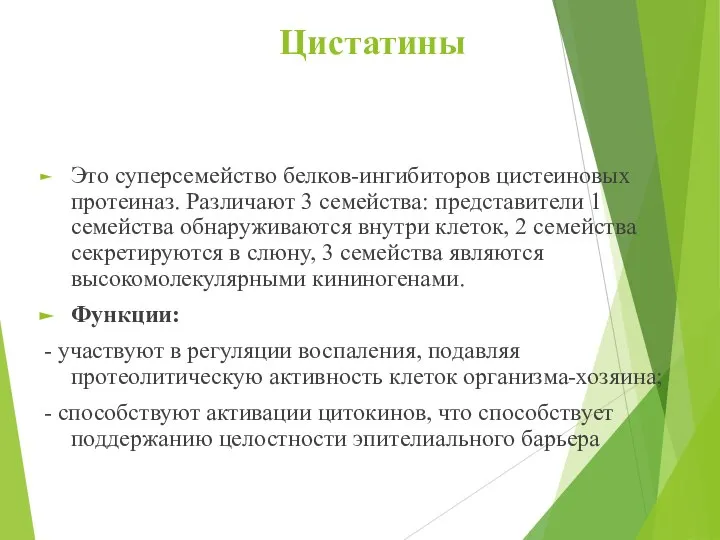 Цистатины Это суперсемейство белков-ингибиторов цистеиновых протеиназ. Различают 3 семейства: представители 1 семейства