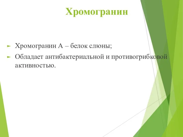 Хромогранин Хромогранин А – белок слюны; Обладает антибактериальной и противогрибковой активностью.