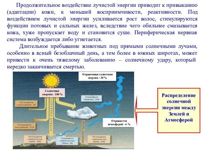 Продолжительное воздействие лучистой энергии приводит к привыканию (адаптации) кожи, к меньшей восприимчивости,