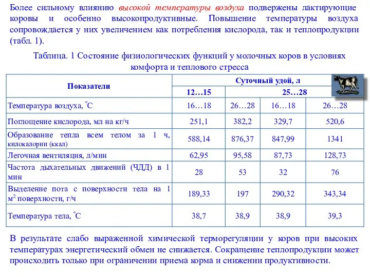 Более сильному влиянию высокой температуры воздуха подвержены лактирующие коровы и особенно высокопродуктивные.