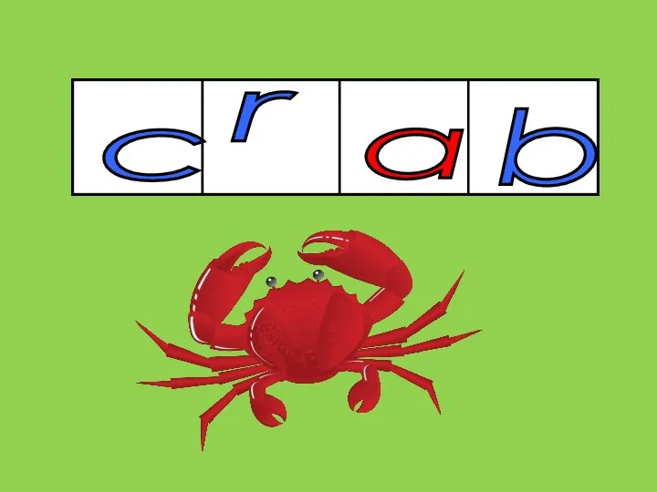 c b r a