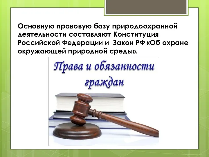 Основную правовую базу природоохранной деятельности составляют Конституция Российской Федерации и Закон РФ