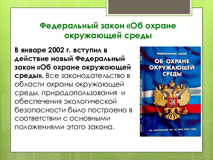 Федеральный закон «Об охране окружающей среды В январе 2002 г. вступил в