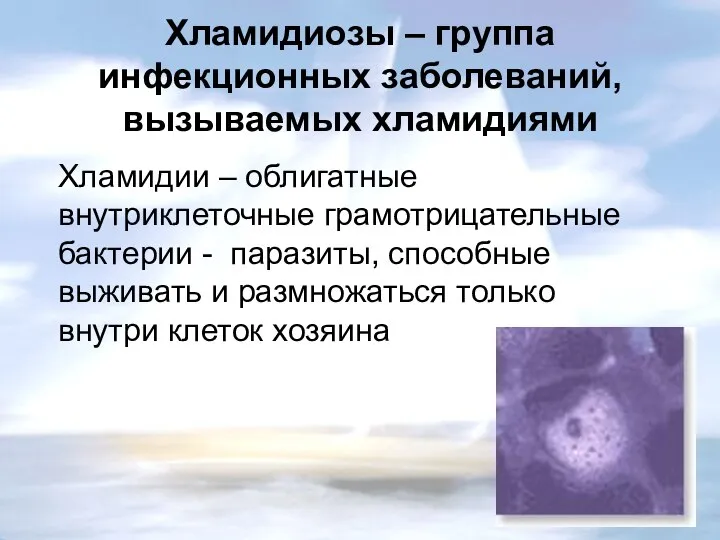 Хламидиозы – группа инфекционных заболеваний, вызываемых хламидиями Хламидии – облигатные внутриклеточные грамотрицательные