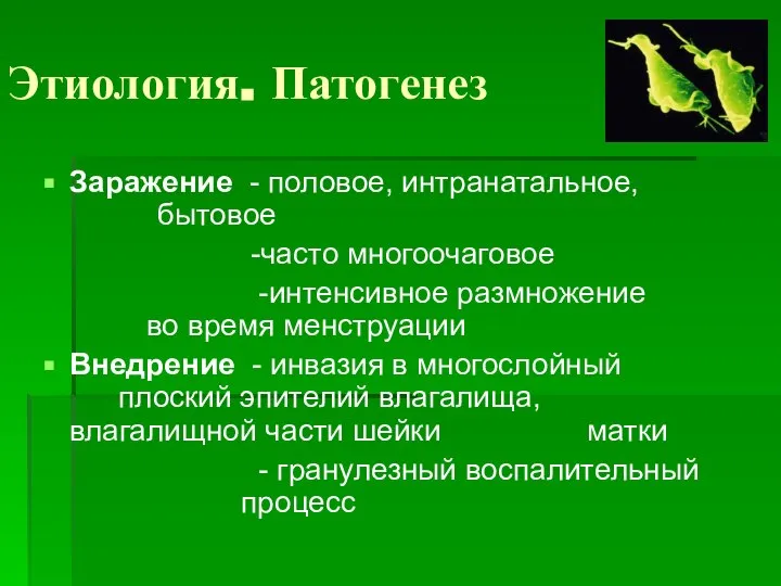 Этиология. Патогенез Заражение - половое, интранатальное, бытовое -часто многоочаговое -интенсивное размножение во