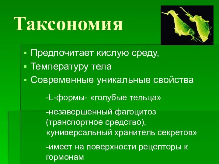 Предпочитает кислую среду, Температуру тела Современные уникальные свойства Таксономия -L-формы- «голубые тельца»