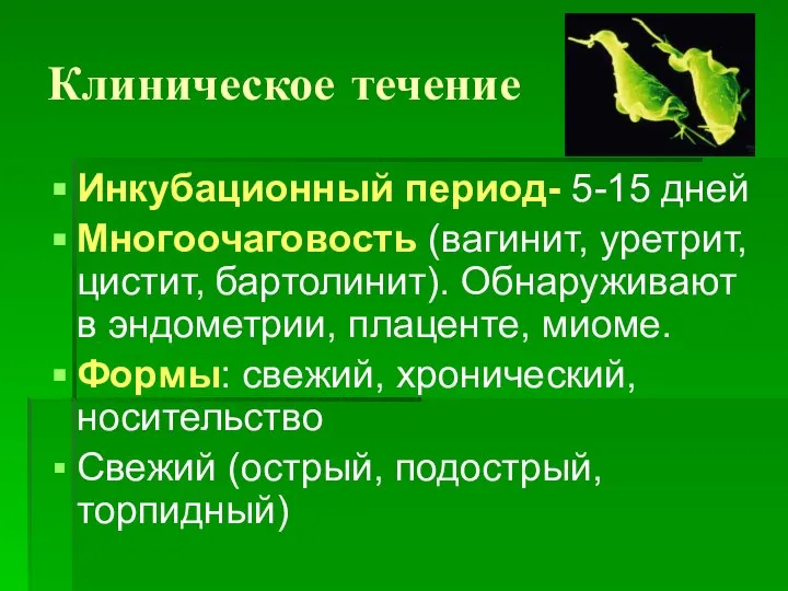 Клиническое течение Инкубационный период- 5-15 дней Многоочаговость (вагинит, уретрит, цистит, бартолинит). Обнаруживают