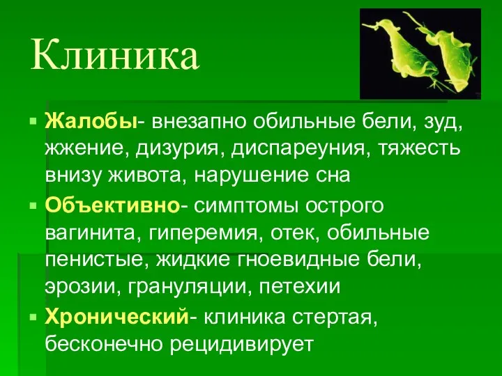 Клиника Жалобы- внезапно обильные бели, зуд, жжение, дизурия, диспареуния, тяжесть внизу живота,