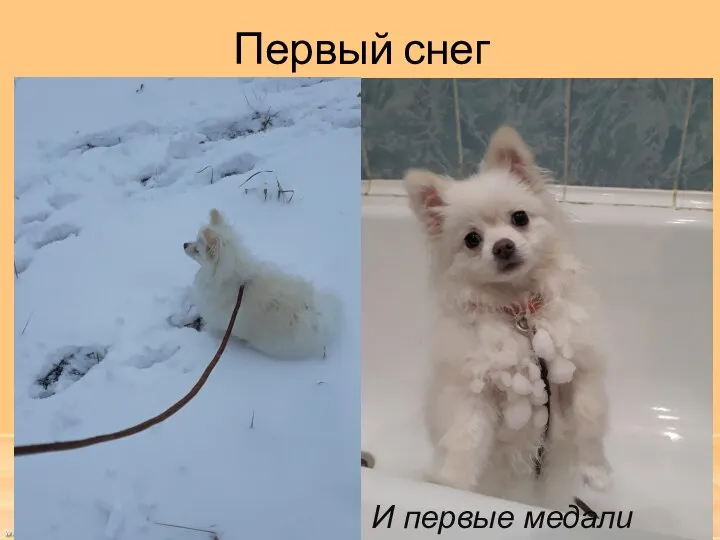 Первый снег И первые медали