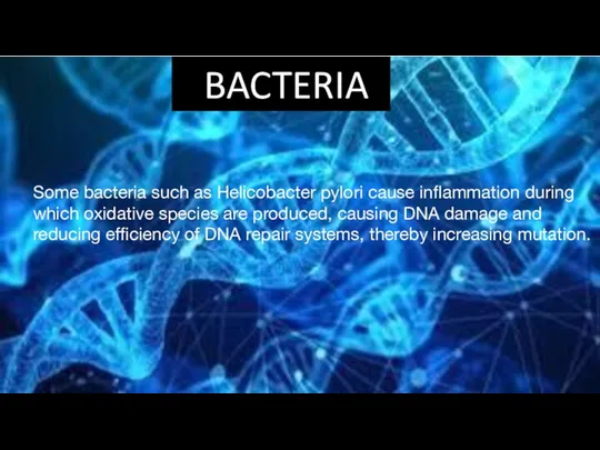 BACTERIA Some bacteria such as Helicobacter pylori cause inflammation during which oxidative