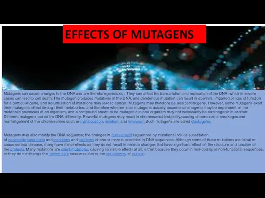 EFFECTS OF MUTAGENS Mutagens can cause changes to the DNA and are