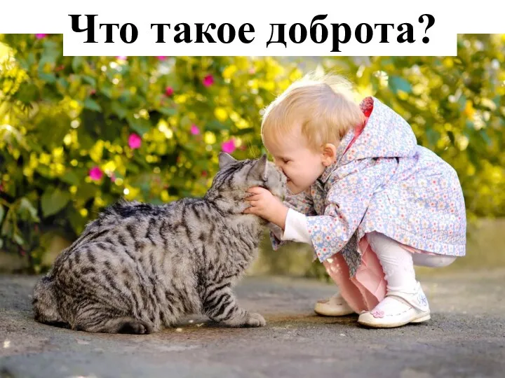 Что такое доброта?