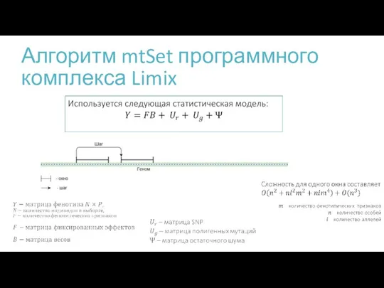 Алгоритм mtSet программного комплекса Limix