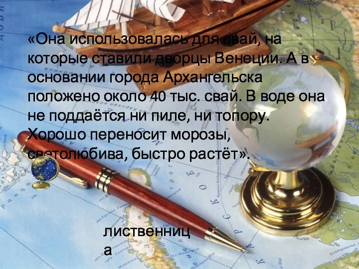 «Она использовалась для свай, на которые ставили дворцы Венеции. А в основании