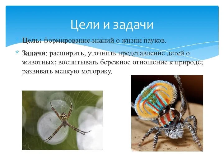 Цель: формирование знаний о жизни пауков. Задачи: расширить, уточнить представление детей о