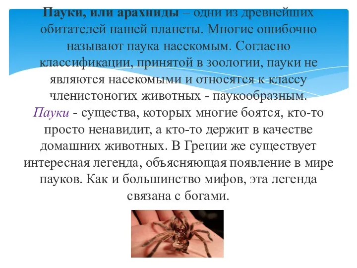 Пауки, или арахниды – одни из древнейших обитателей нашей планеты. Многие ошибочно