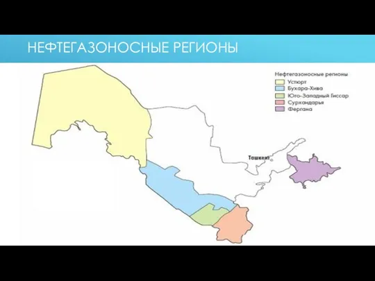 НЕФТЕГАЗОНОСНЫЕ РЕГИОНЫ