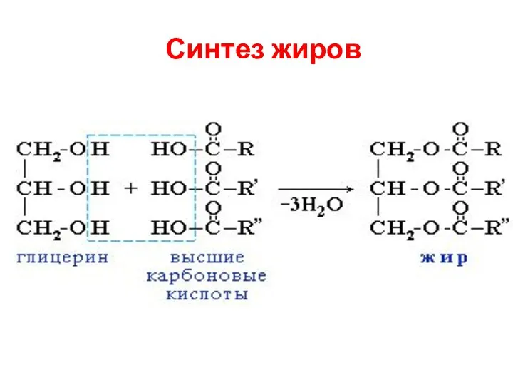 Синтез жиров