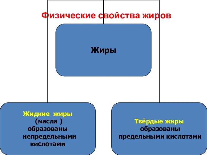 Физические свойства жиров