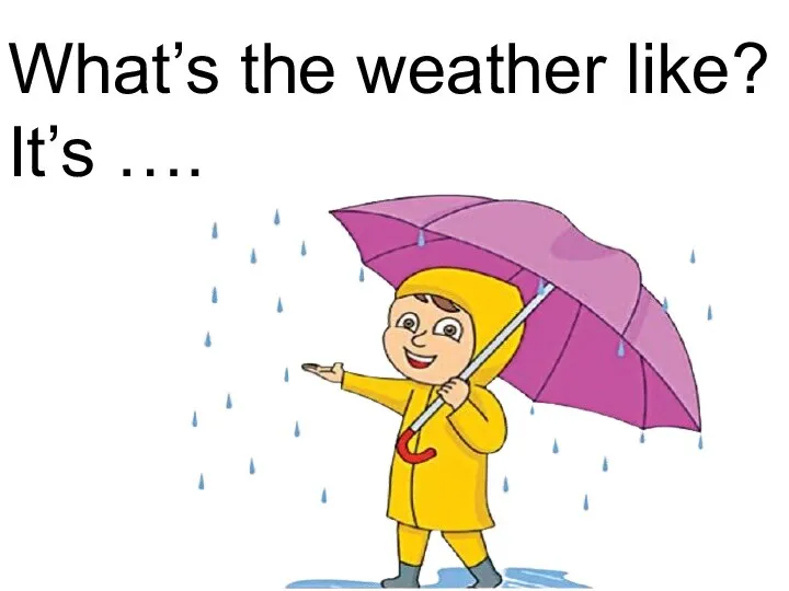 What’s the weather like? It’s ….