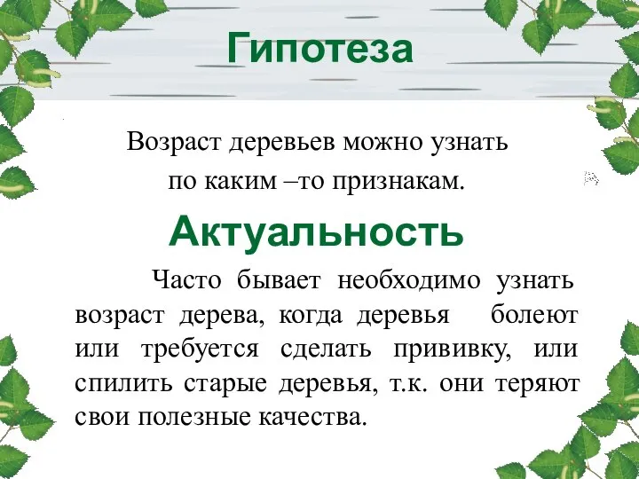 Гипотеза Возраст деревьев можно узнать по каким –то признакам. Актуальность Часто бывает