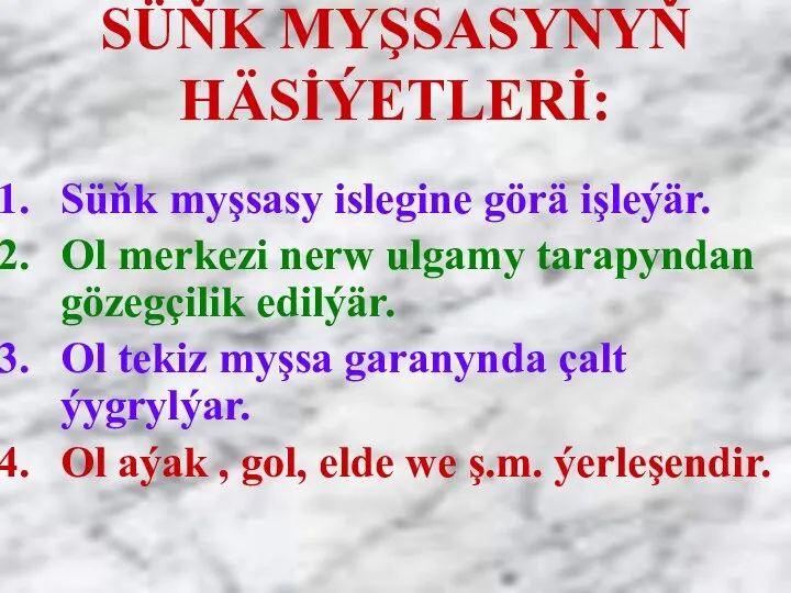 SÜŇK MYŞSASYNYŇ HÄSİÝETLERİ: Süňk myşsasy islegine görä işleýär. Ol merkezi nerw ulgamy