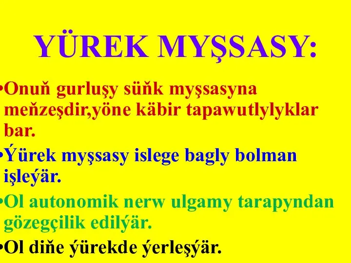 YÜREK MYŞSASY: Onuň gurluşy süňk myşsasyna meňzeşdir,yöne käbir tapawutlylyklar bar. Ýürek myşsasy