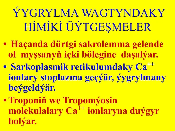 ÝYGRYLMA WAGTYNDAKY HİMİKİ ÜÝTGEŞMELER Haçanda dürtgi sakrolemma gelende ol myşsanyň içki bölegine