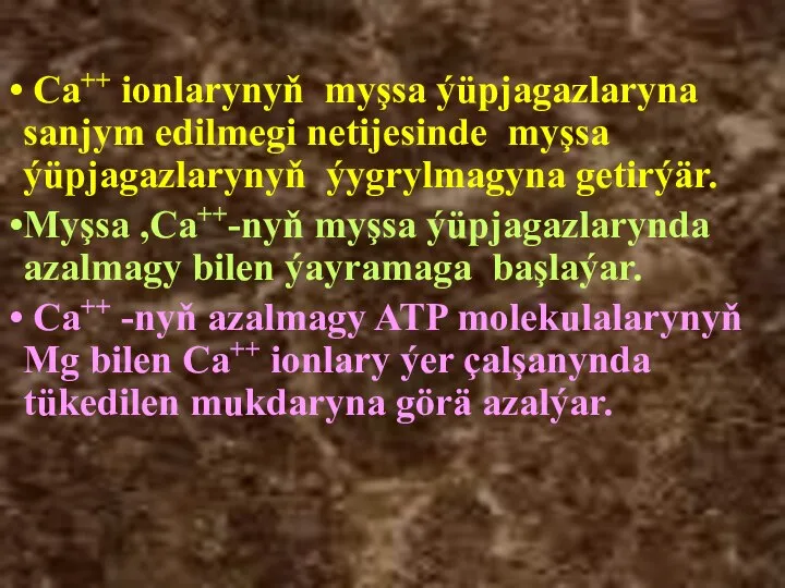 Ca++ ionlarynyň myşsa ýüpjagazlaryna sanjym edilmegi netijesinde myşsa ýüpjagazlarynyň ýygrylmagyna getirýär. Myşsa