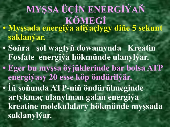 MYŞSA ÜÇİN ENERGİÝAŇ KÖMEGİ Myşsada energiýa atiýaçlygy diňe 5 sekunt saklanýar. Soňra