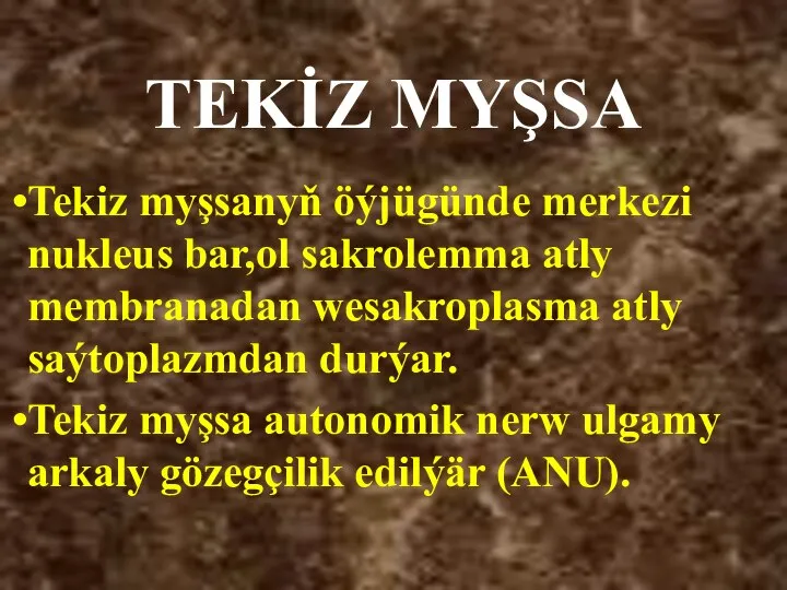 TEKİZ MYŞSA Tekiz myşsanyň öýjügünde merkezi nukleus bar,ol sakrolemma atly membranadan wesakroplasma