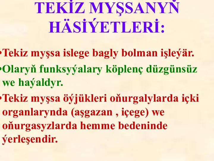 Tekiz myşsa islege bagly bolman işleýär. Olaryň funksyýalary köplenç düzgünsüz we haýaldyr.