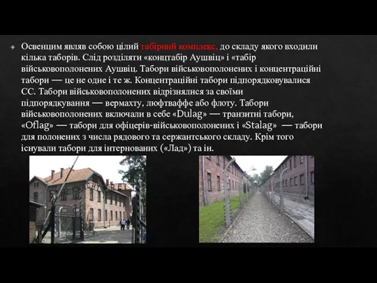 Освенцим являв собою цілий табірний комплекс, до складу якого входили кілька таборів.