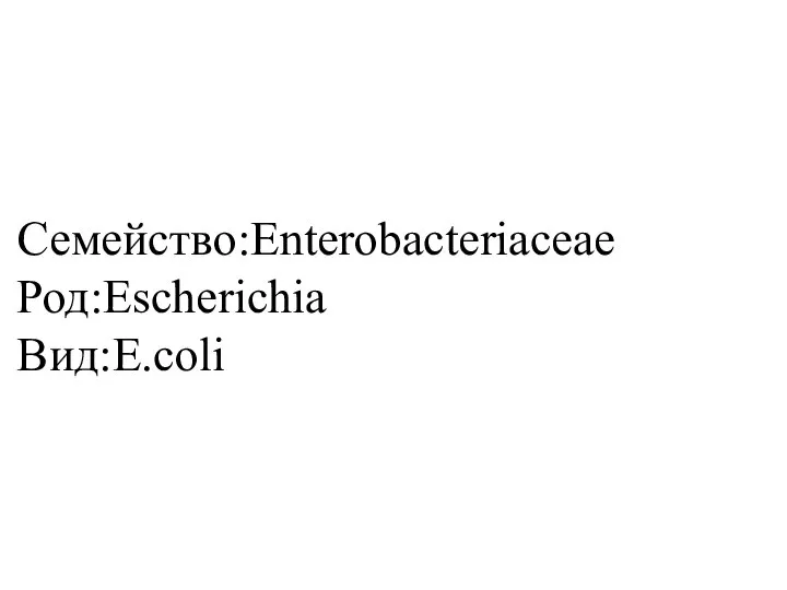 Семейство:Enterobacteriaceae Род:Escherichia Вид:E.coli