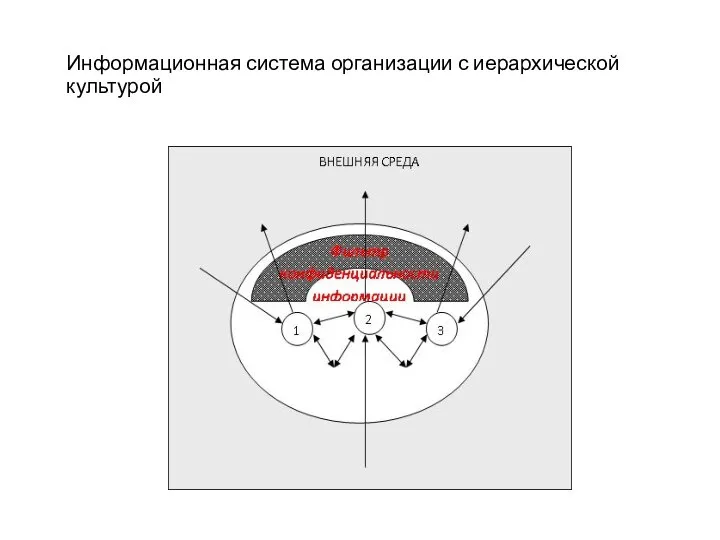 Информационная система организации с иерархической культурой