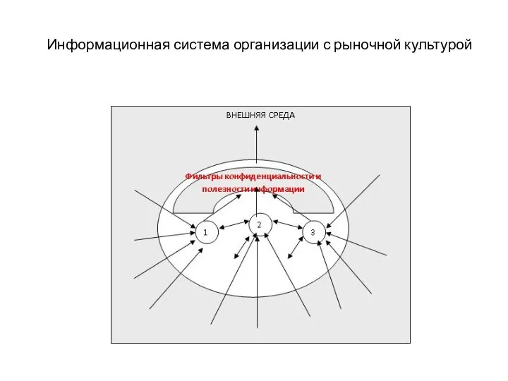 Информационная система организации с рыночной культурой