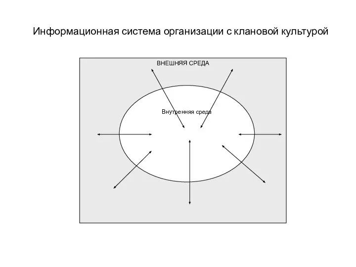 Информационная система организации с клановой культурой