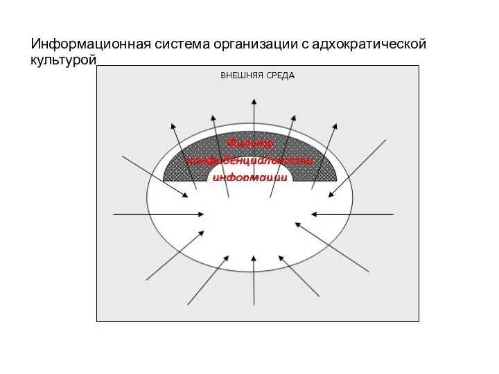 Информационная система организации с адхократической культурой