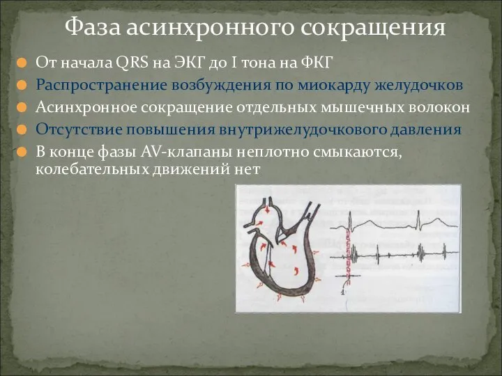 От начала QRS на ЭКГ до I тона на ФКГ Распространение возбуждения