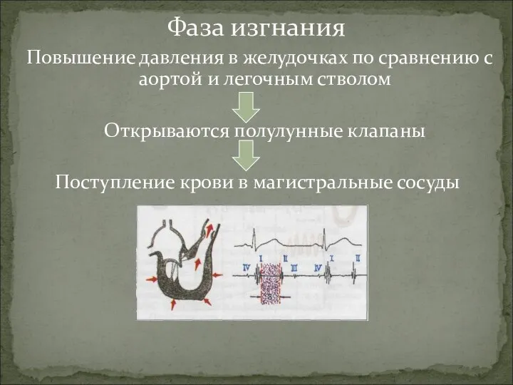 Повышение давления в желудочках по сравнению с аортой и легочным стволом Открываются