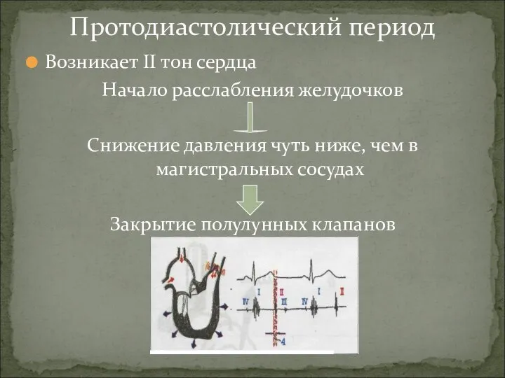 Возникает II тон сердца Начало расслабления желудочков Снижение давления чуть ниже, чем