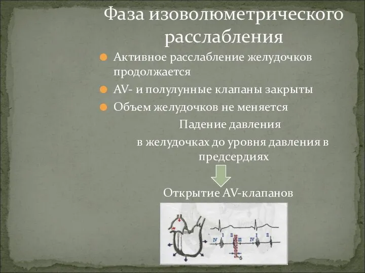 Активное расслабление желудочков продолжается AV- и полулунные клапаны закрыты Объем желудочков не