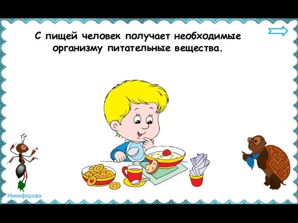 С пищей человек получает необходимые организму питательные вещества.