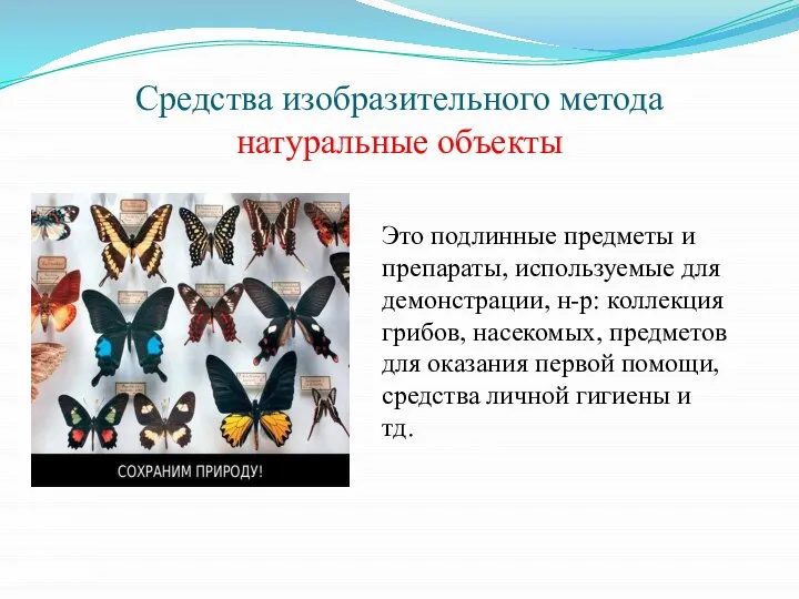 Средства изобразительного метода натуральные объекты Это подлинные предметы и препараты, используемые для